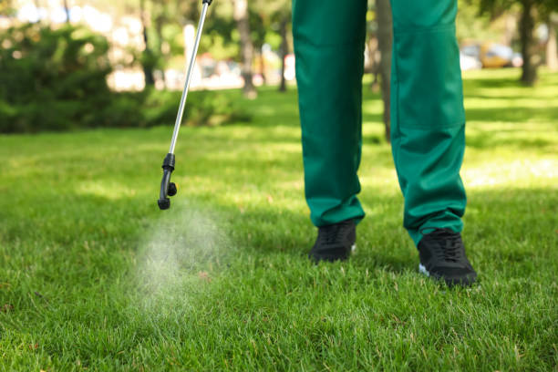 Best Wildlife Control Services  in Stonewood, WV