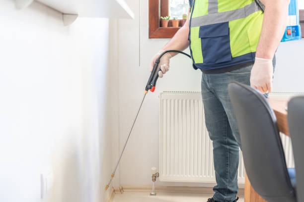 Best Termite Control Services  in Stonewood, WV