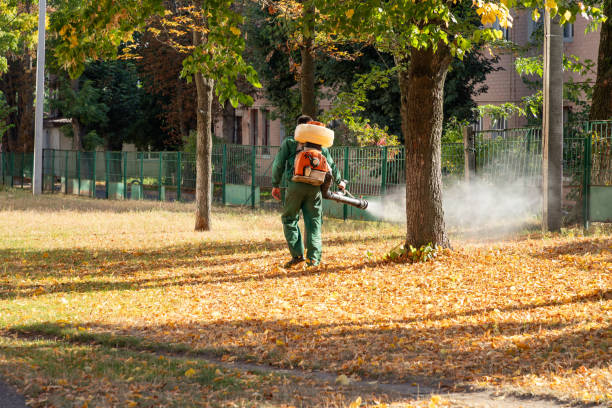 Trusted Stonewood, WV Pest Control Experts
