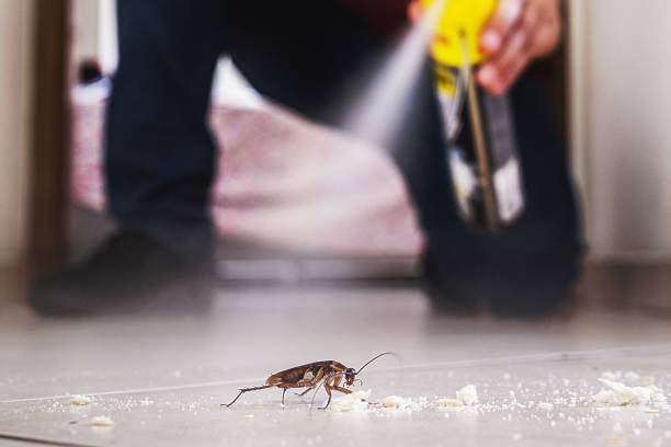 Professional Pest Control in Stonewood, WV